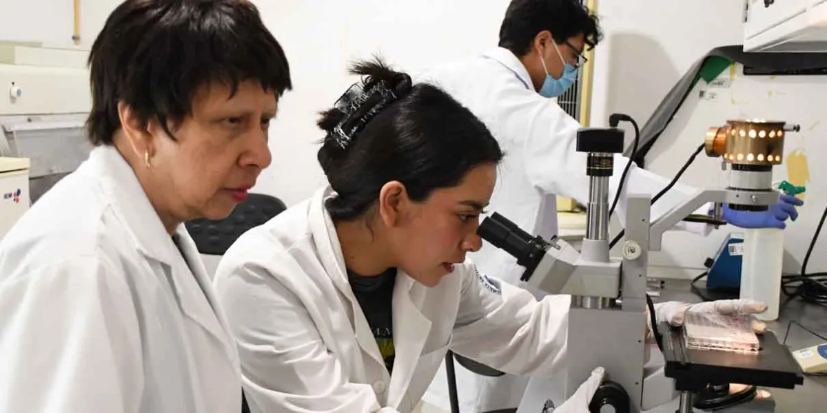 Con modelos computacionales, investigadores BUAP predicen y describen la regeneración epitelial
