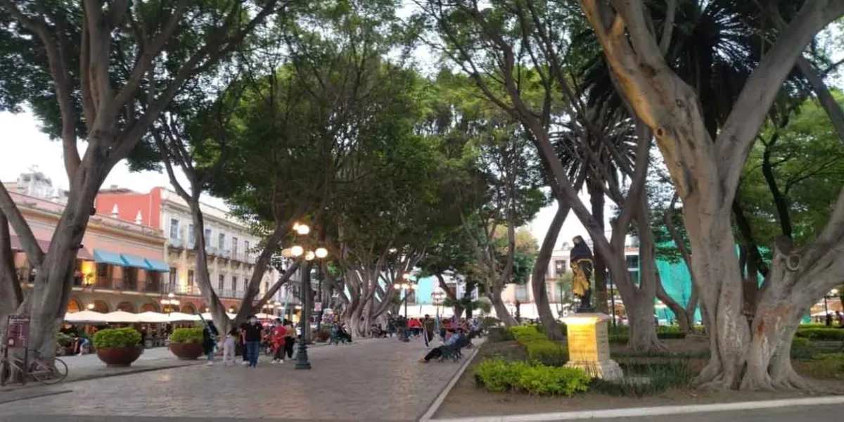 El Congreso mejorará atención a zonas arboladas de Puebla