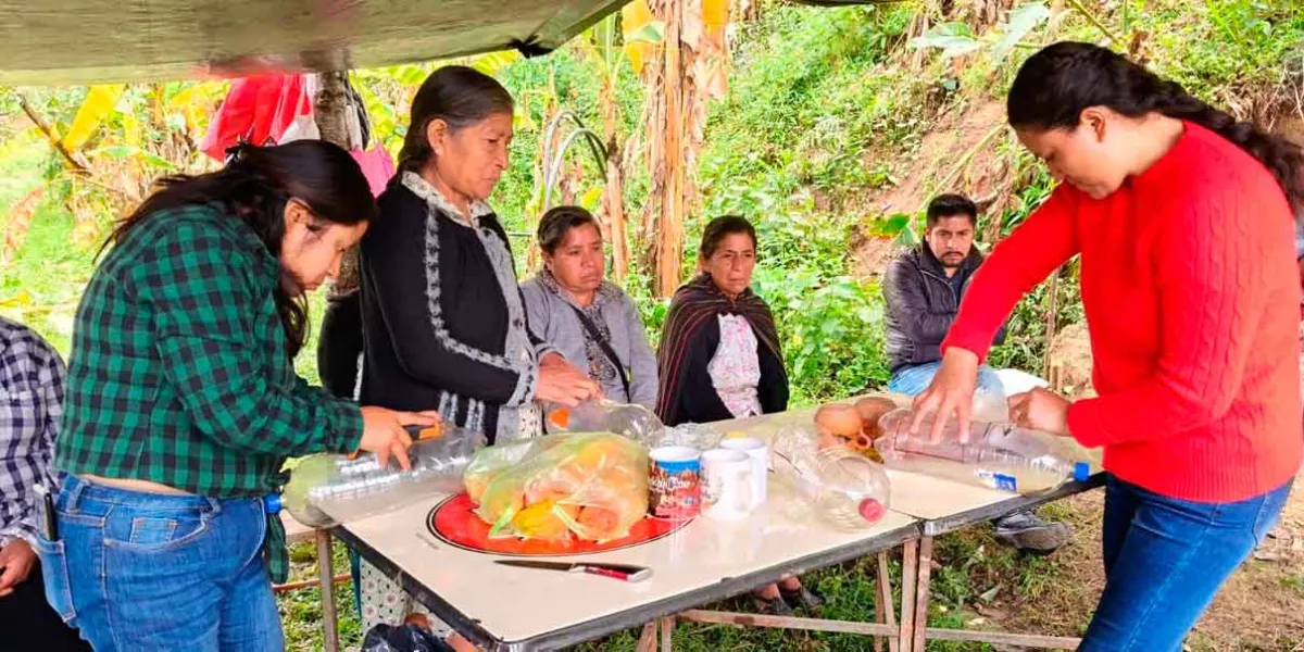 En Huauchinango se combate plaga con trampas artesanales