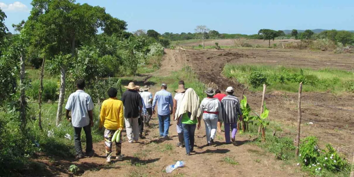 Es pírrica la sentencia por despojo de tierras en Puebla