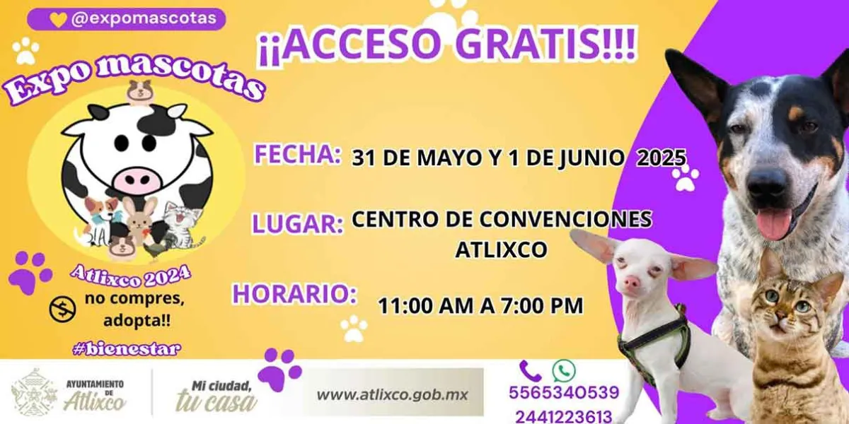 Atlixco abre sus puertas a Expo Mascotas 2025: Un evento gratuito