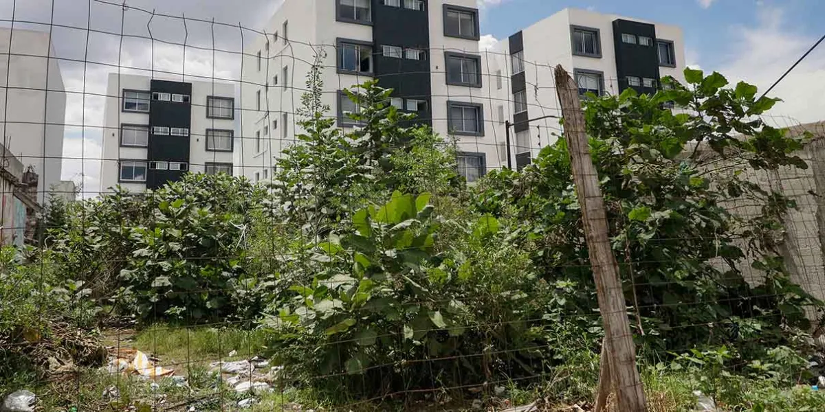 Alertan sobre aumento de fraudes inmobiliarios en Puebla