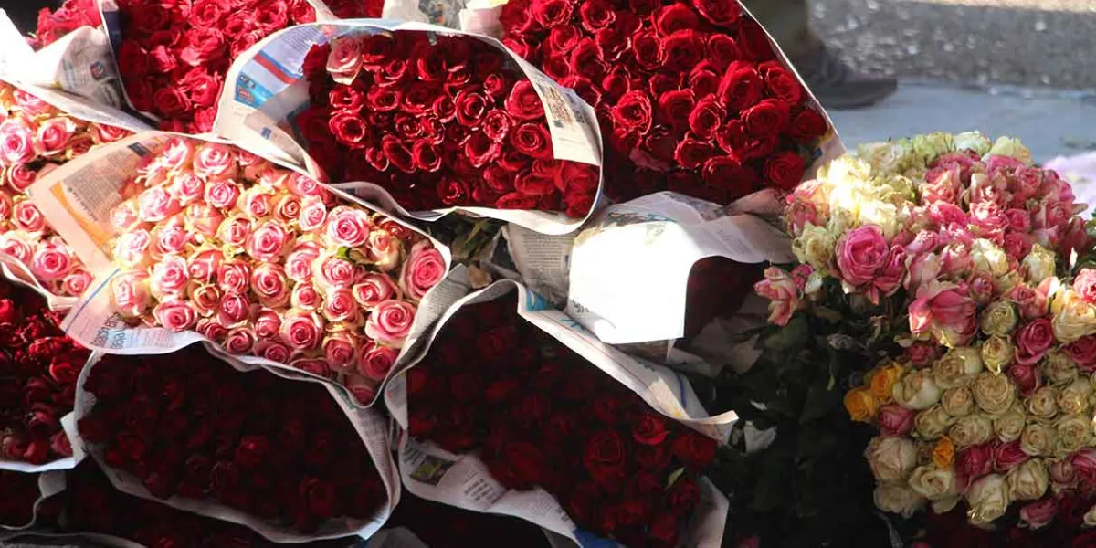 Atlixco, listo para alza en venta de rosas por el Día de las madres