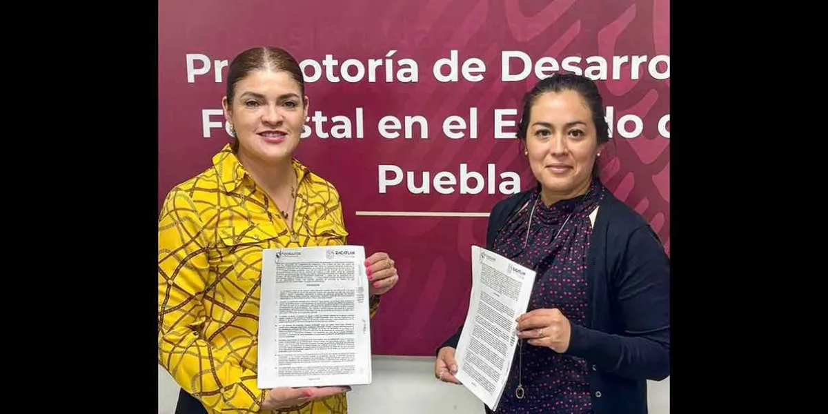  Zacatlán y Conafor combatirán plagas forestales