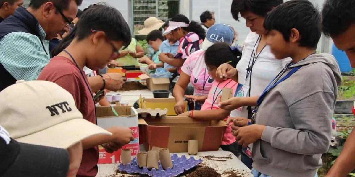 Curso de Verano Imparable 2025, inscripciones abiertas