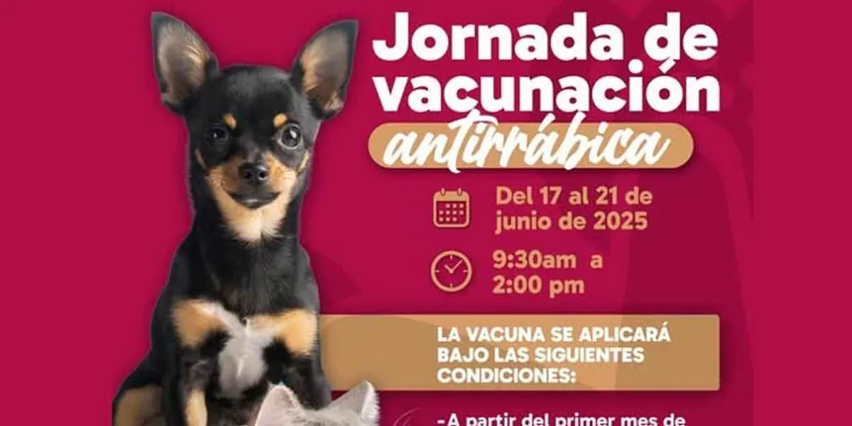 En Huauchinango anuncian Vacunación Antirrábica Canina y Felina