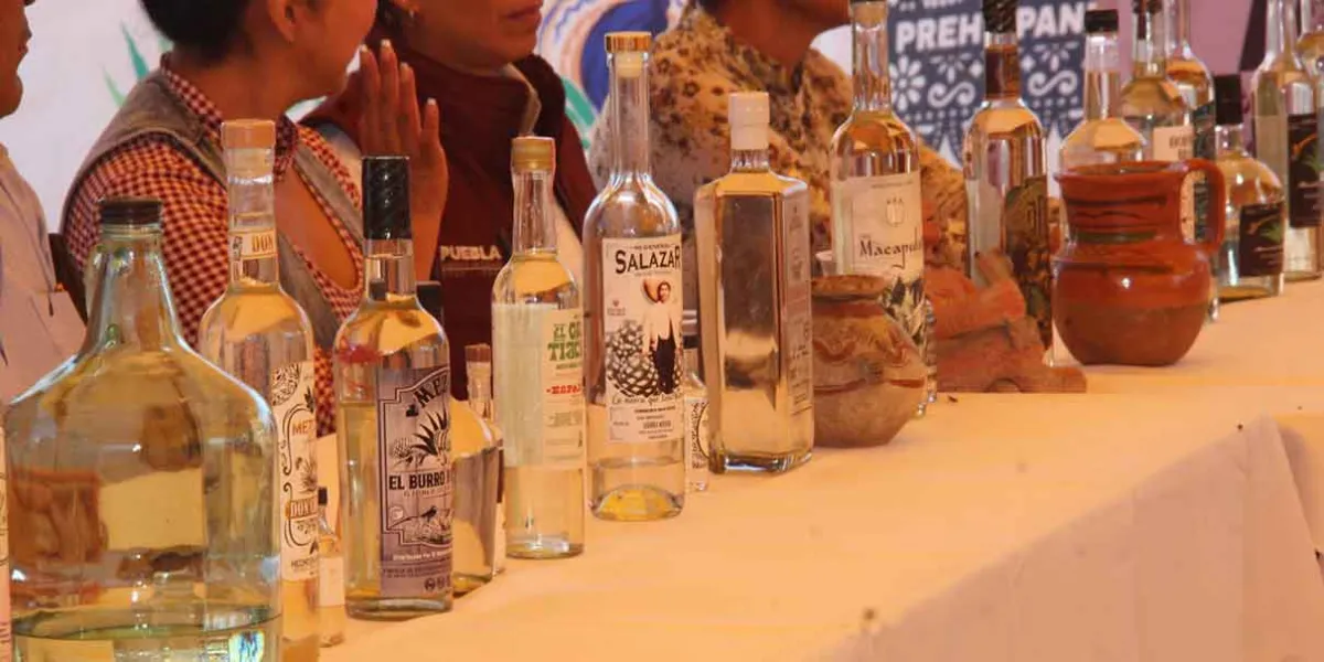 Red de Mezcaleros de Puebla impulsa estrategias para fortalecer el sector y atraer turismo