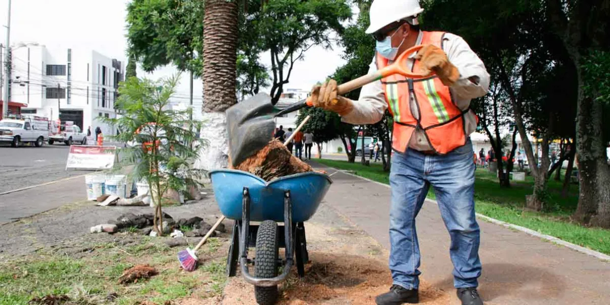Faena comunitaria en la colonia Aquiles Serdán