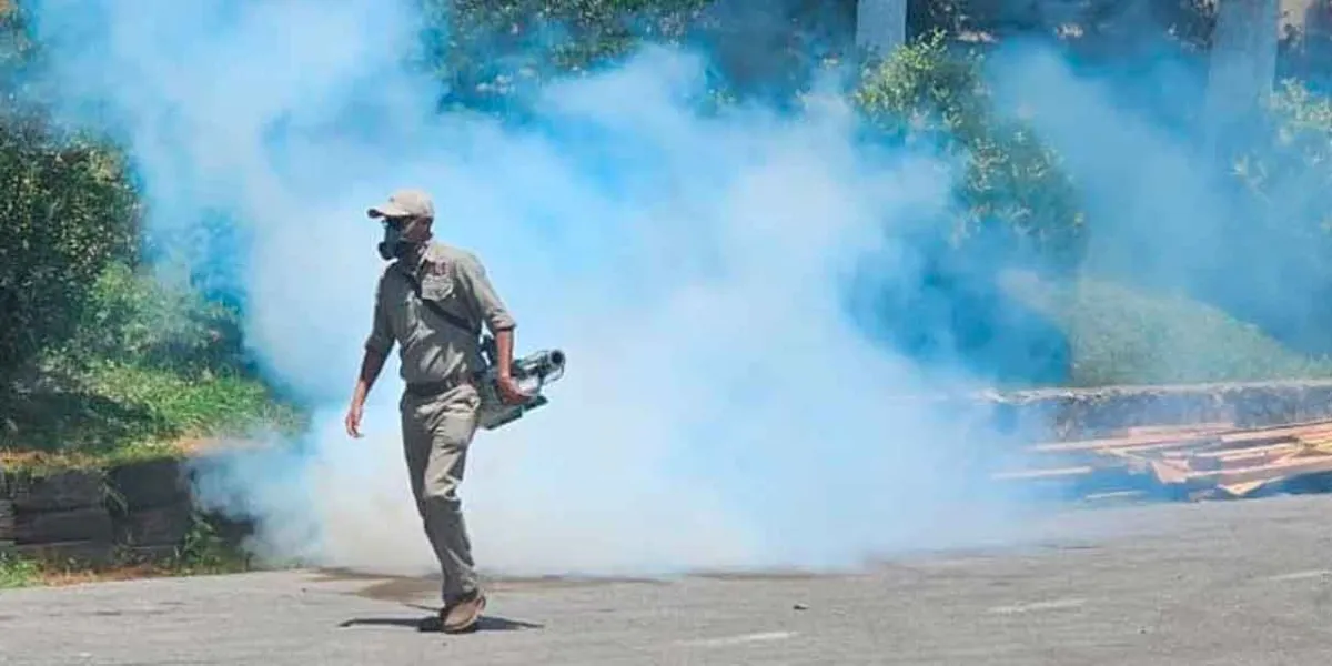 Huauchinango mantiene el combate frontal contra el Dengue