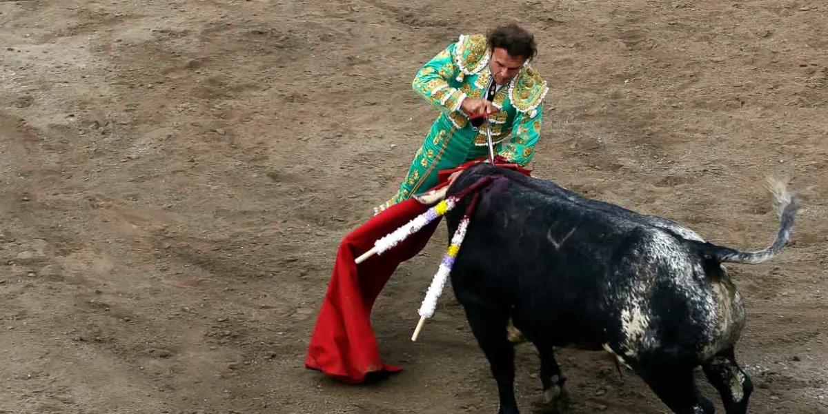 En septiembre ecologistas abrirán debate para prohibir peleas de gallos y corridas de toros