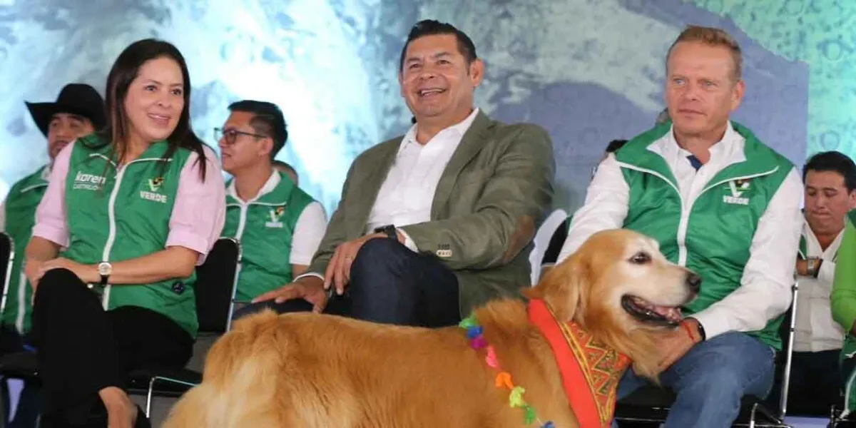 Ecologistas ven en Armenta y Chedraui bases para mantener alianzas