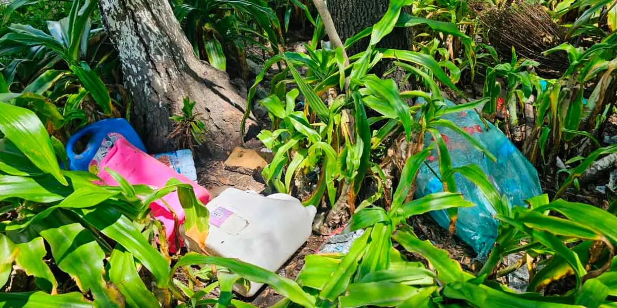No acumules agua, basura, ni cacharros, el DENGUE te acecha