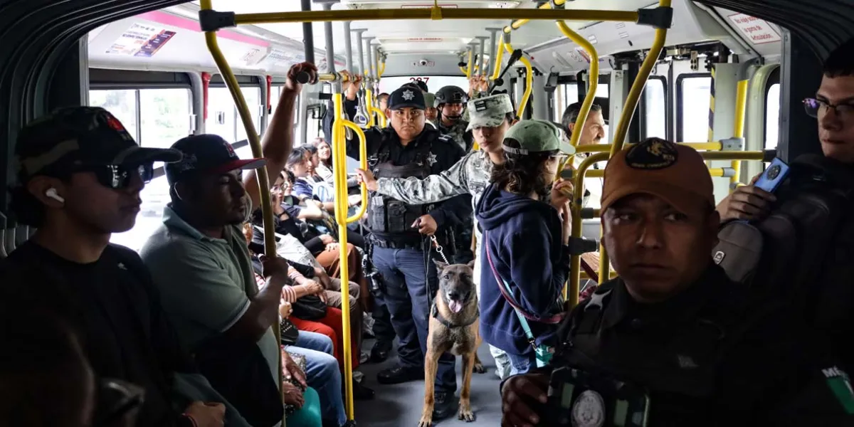 Escuadrón canino realiza operativo en RUTA: detectan marihuana y objetos prohibidos