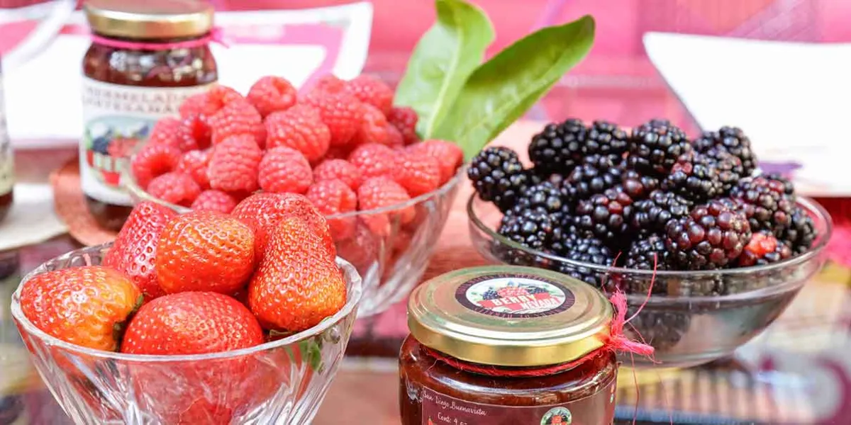 Arranca la sexta edición de la Feria de Los Berries en Puebla