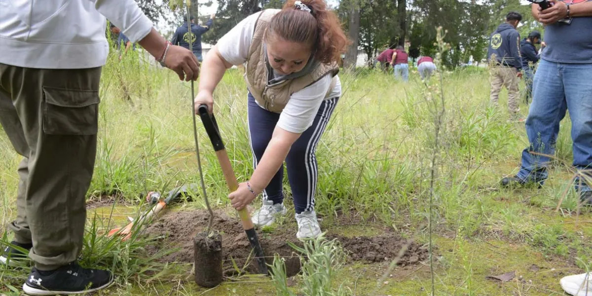 Jornada de arborización en Puebla busca mitigar efectos del cambio climático