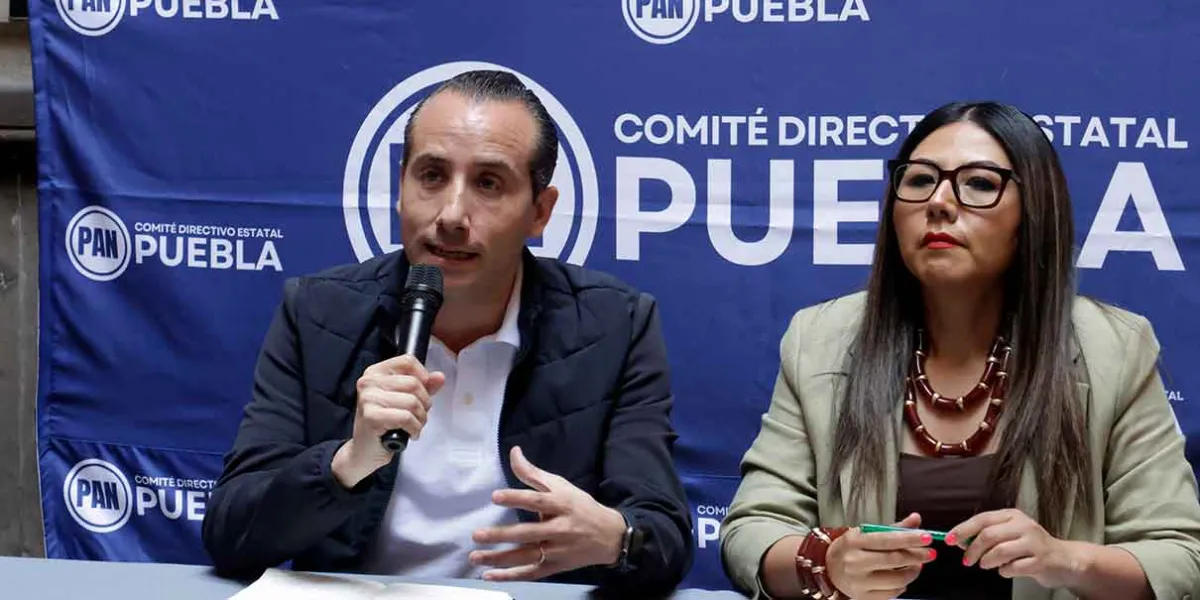 La elección de Acción Nacional