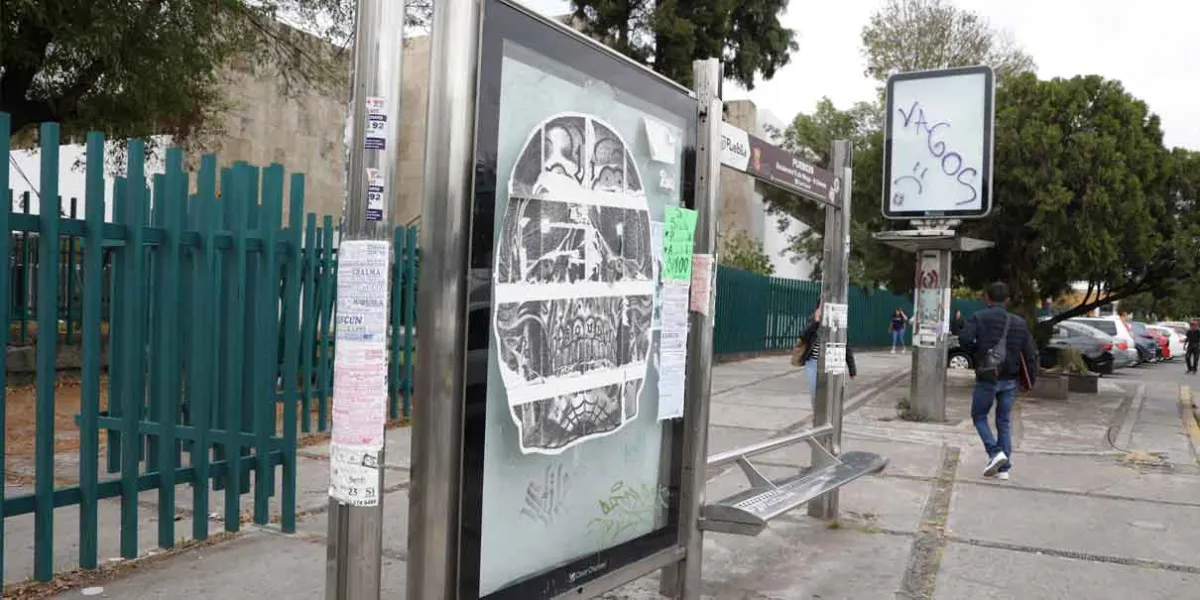 Negó Chedraui tener amarrada la concesión de paraderos de la ciudad