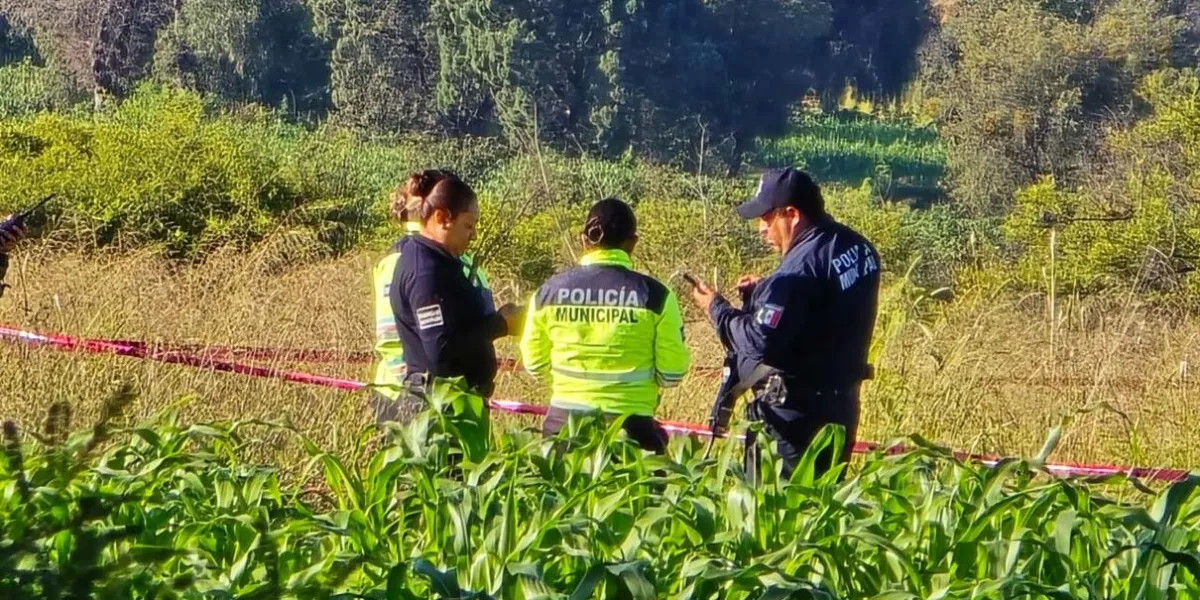 Puebla en alerta y coordinación con Tlaxcala por cabezas humanas halladas en zona limítrofe