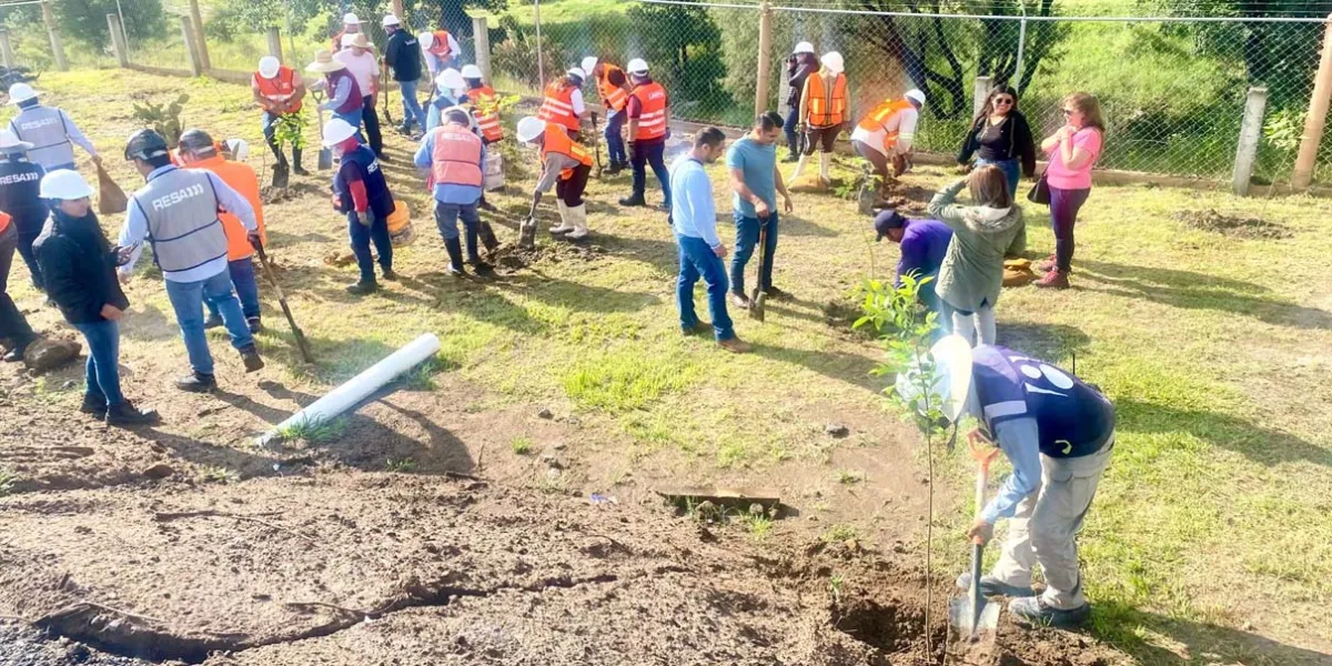 Puebla impulsa reforestación con producción de composta