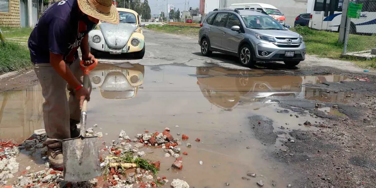 "Tapabaches" se multiplican en colonias de la capital para ganarse unas monedas 