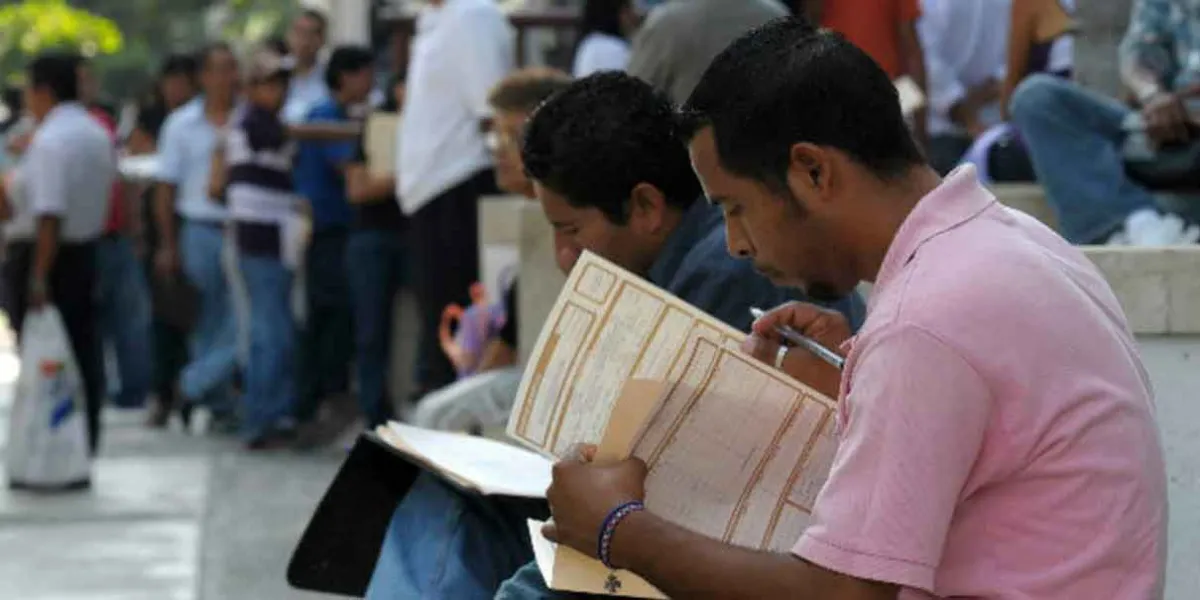 La recuperación de empleos perdidos en julio y agosto será a final de año