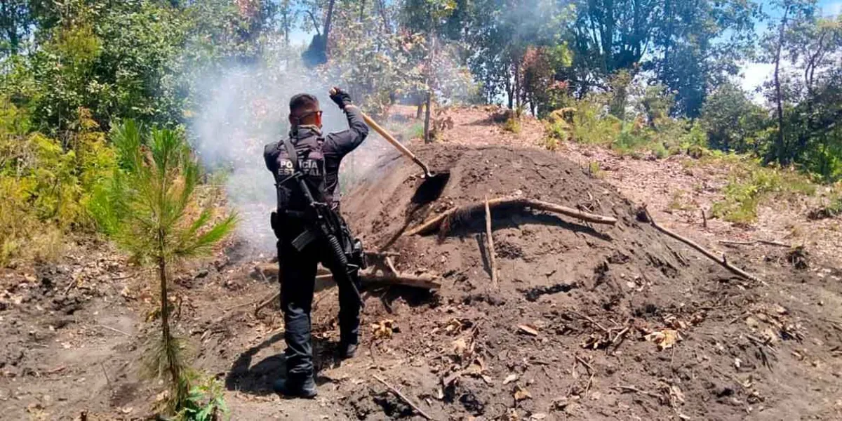 Otro horno clandestino de deshidratación de madera es detectado en Zacatlán