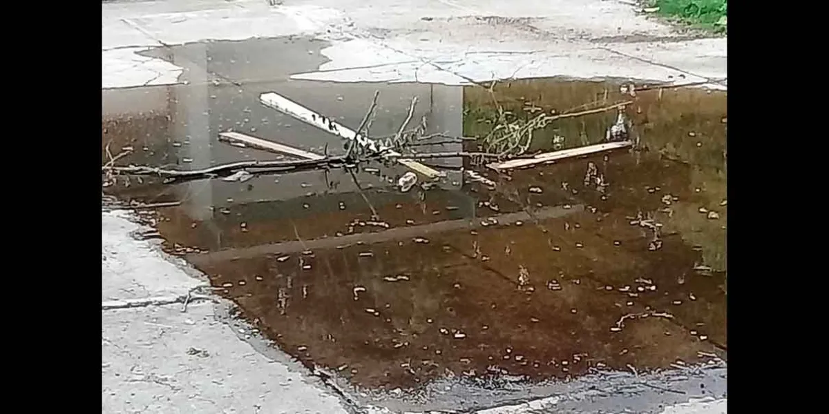 Atlixco inicia segunda jornada contra el dengue con eliminación de criaderos de mosquitos
