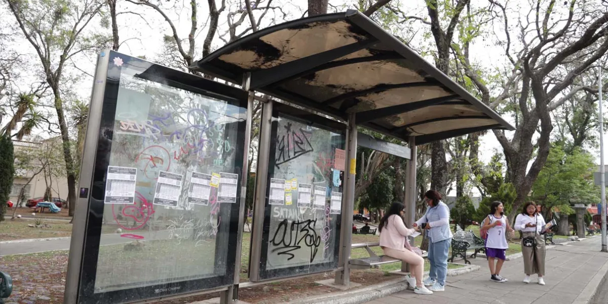 Ayuntamiento debe justificar por qué concesionar una década los paraderos