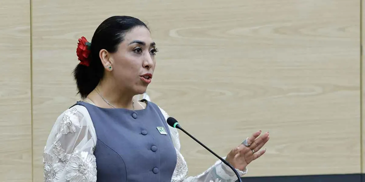 Investigación a Amanda Gómez no detiene proceso para elegir titular de la ASE: Norma Estela Pimentel