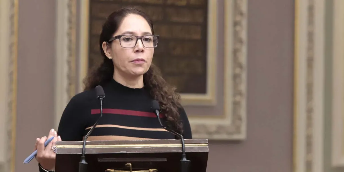 Acción penal contra Teresa Castro Corro, exige PT tras comprobado desfalco millonario