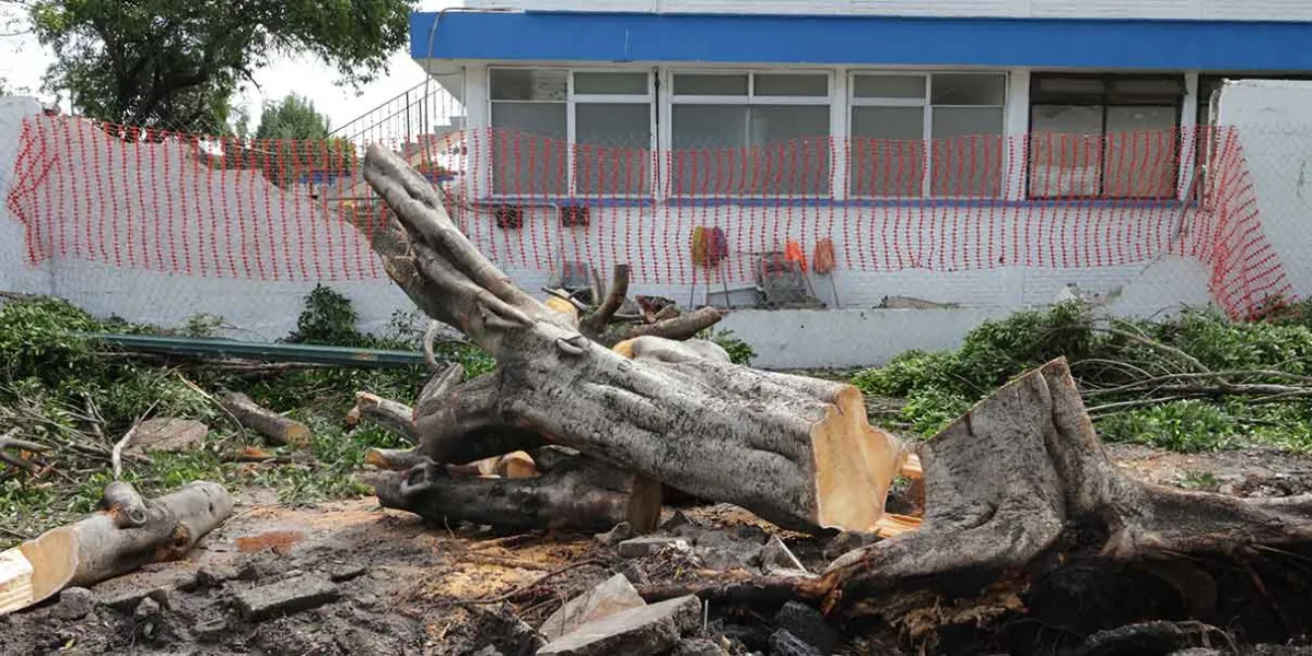 Afectaciones por lluvias en Puebla: más de 16 mil estudiantes sin clases en 46 municipios