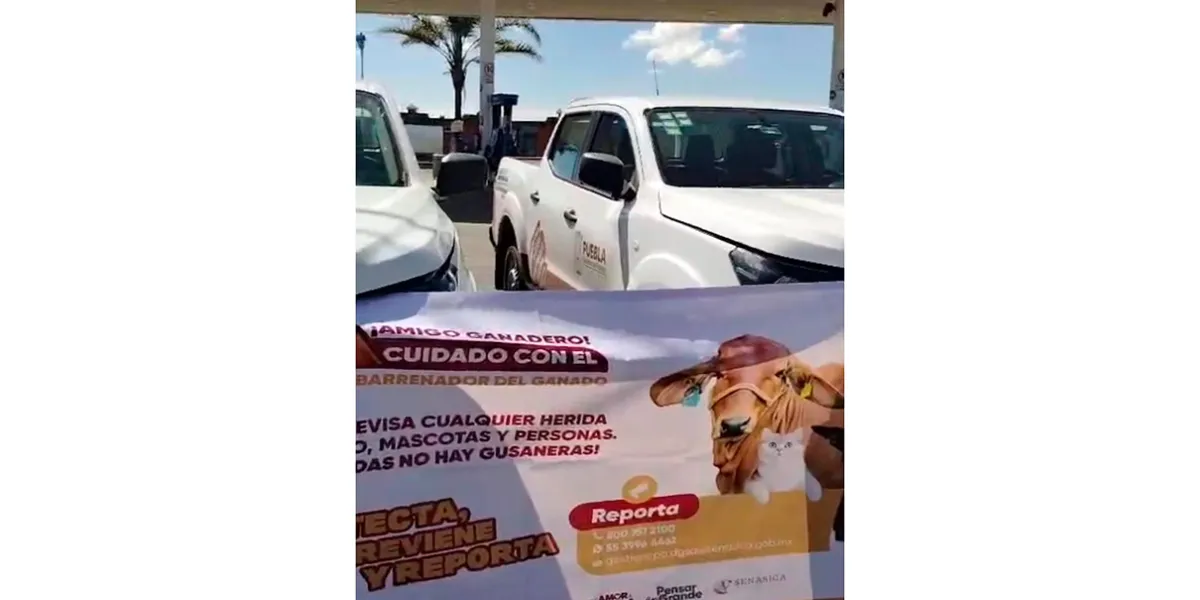 Puebla refuerza operativo sanitario en tianguis ganadero de Texmelucan