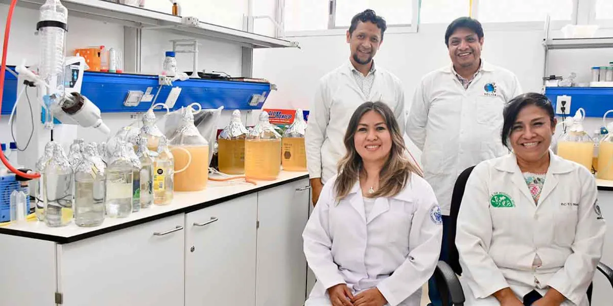 Inocrep, innovación de la BUAP que multiplica los cultivos y reduce el uso de fertilizantes en Puebla