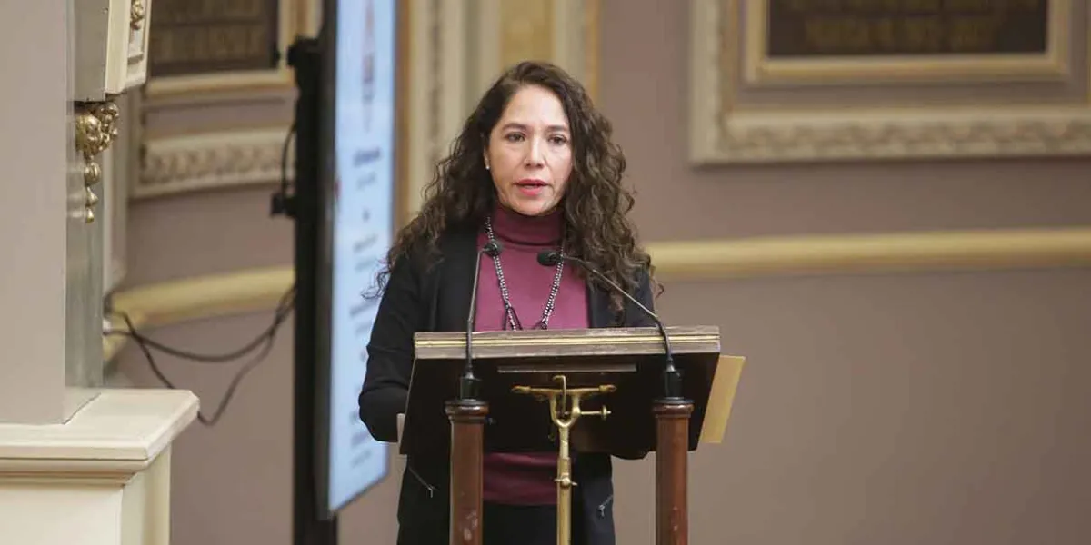 Morena en Puebla se deslinda del caso Teresa Castro Corro: ‘no hay impunidad’, afirma Andrés Villegas
