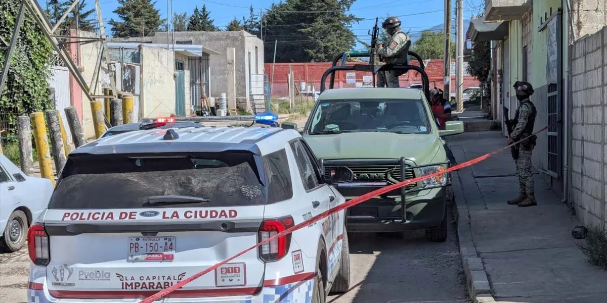 Perros devoraban cabeza de una mujer en La Resurrección