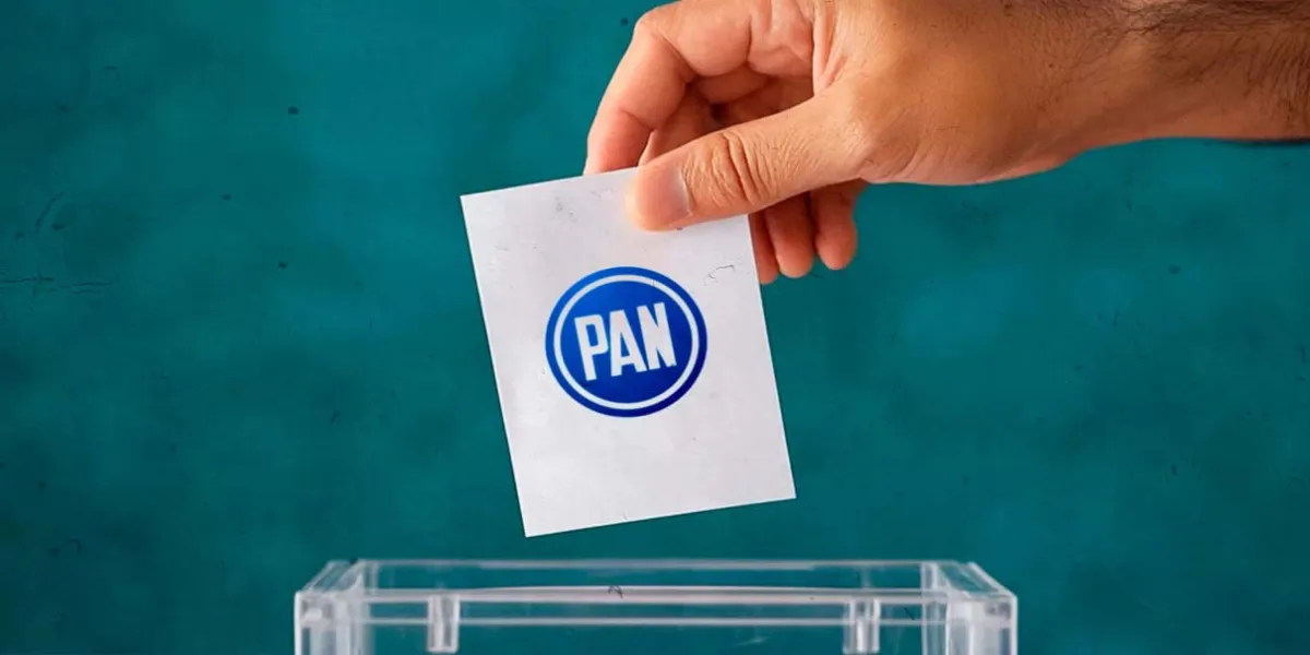 Revés de Tribunal Electoral contra elección del PAN en la capital