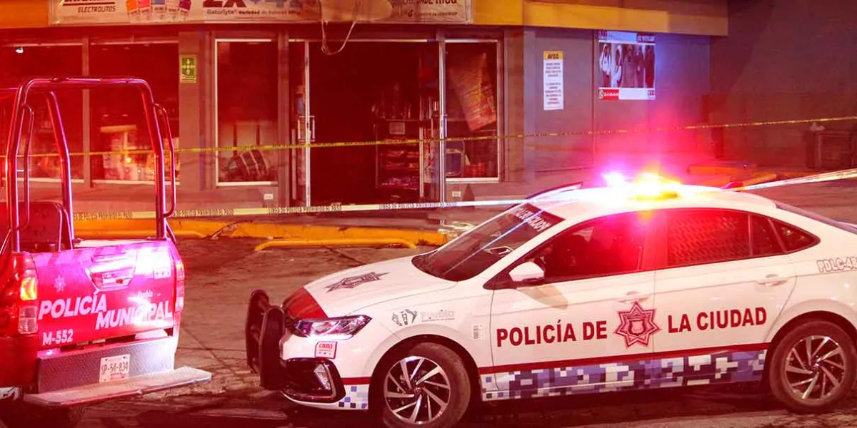 PRI critica recorte federal en seguridad: “El Gobierno no apuesta al futuro de México"