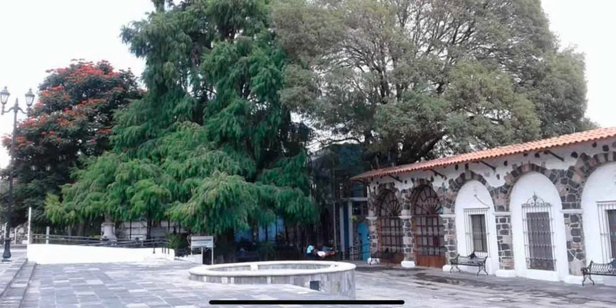 Vecinos de Atlixco al rescate del parque El Ahuehuete 