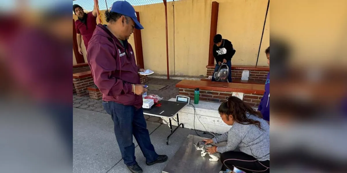 Puebla anuncia nuevas fechas para jornadas de bienestar animal: consulta dónde y cuándo