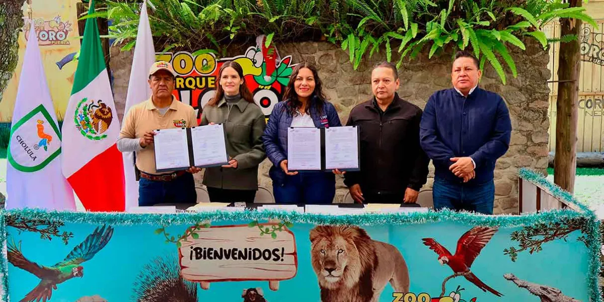 San Andrés Cholula firma convenio con Parque Loro Puebla para atender fauna agresiva