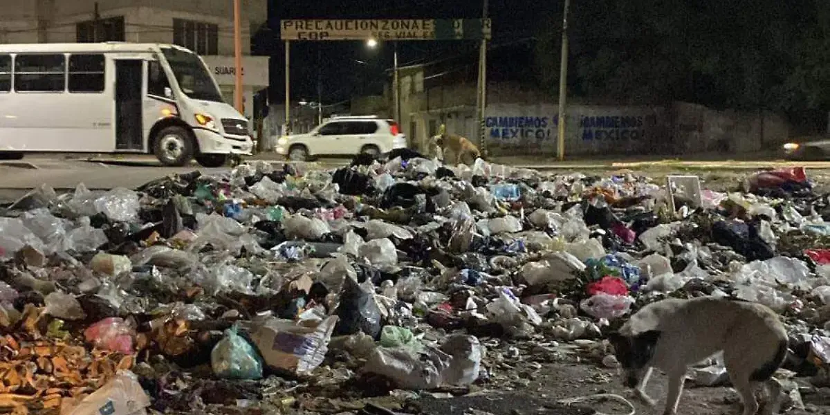 Arrestos y multas a quienes tiran basura en lugares no autorizados en Texmelucan