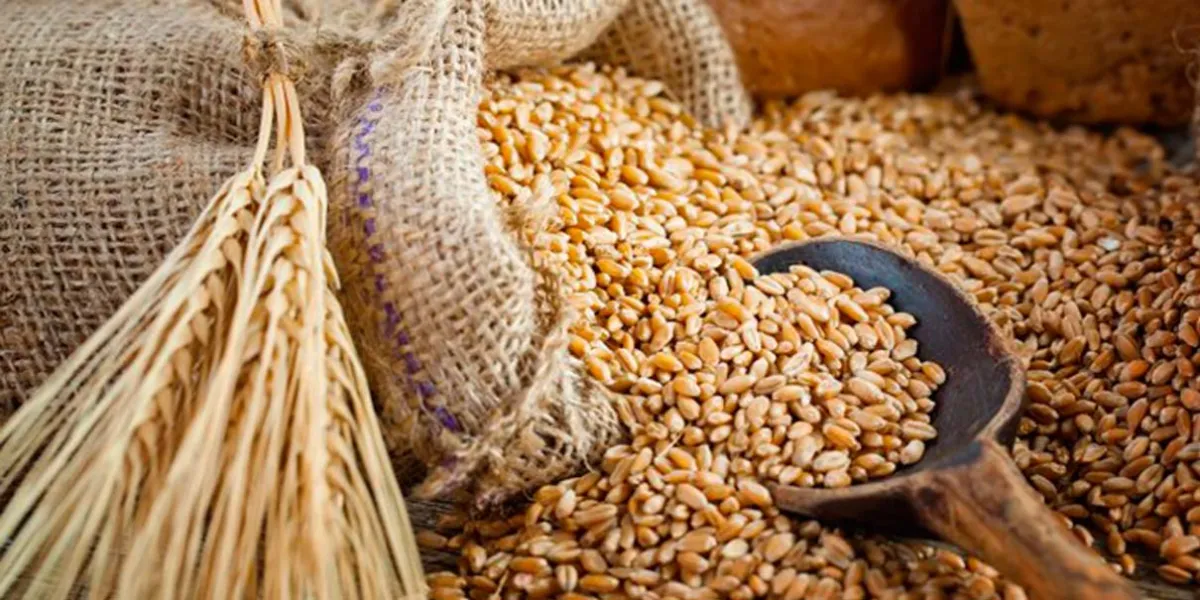 Granjas Carroll debe respetar precio de compra de cebada a productores de cinco municipios