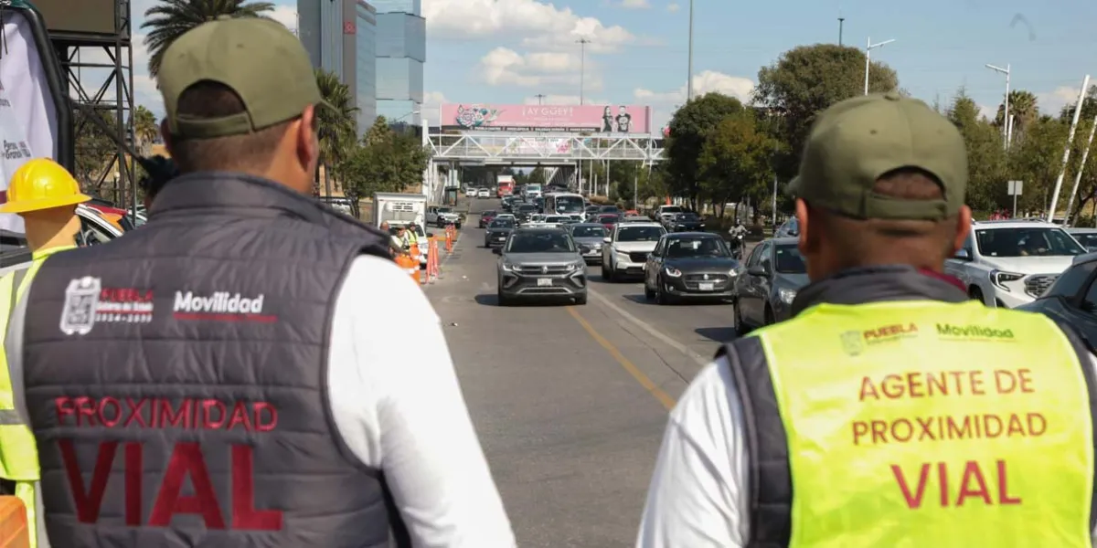 266 conductores han caído en Operativo Monitor Vial en tres semanas