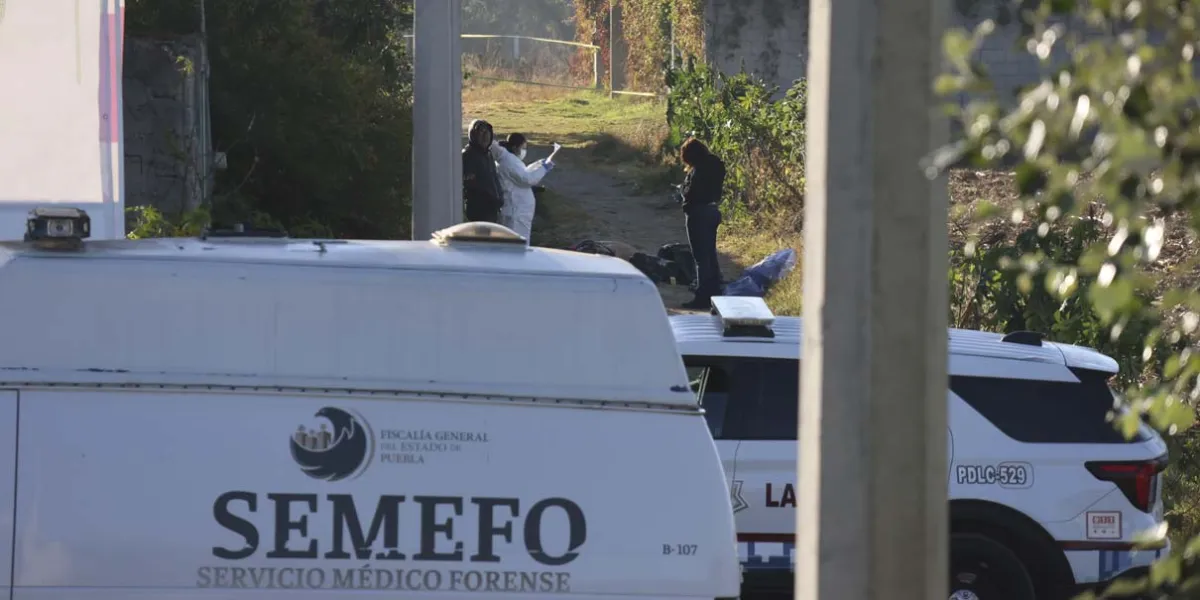 Aparecen dos cuerpos mutilados y embolsados en San Aparicio