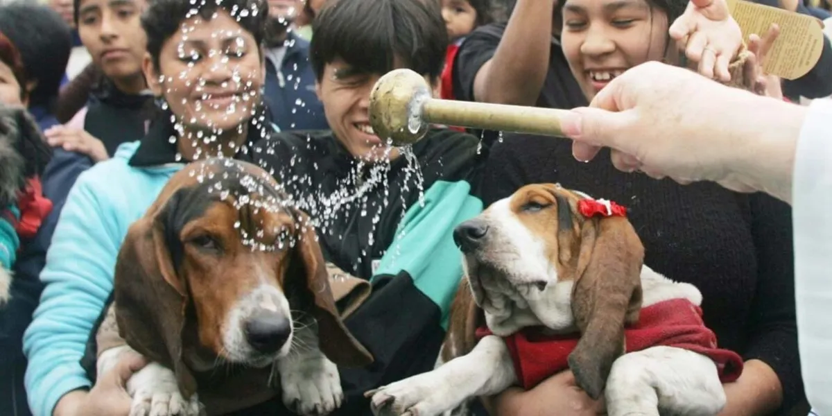 Atlixco se prepara para la bendición de mascotas en la Parroquia de la Natividad