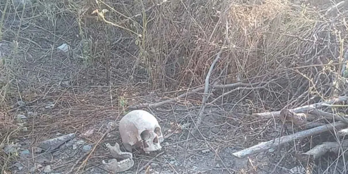 Hallan restos humanos en la privada El Álamo en Tehuacán