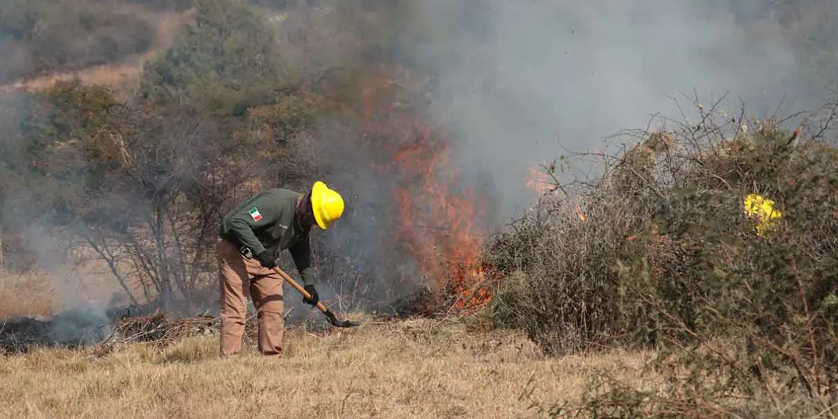 Puebla registra cuatro incendios forestales en enero de 2026; logran controlarlos a tiempo