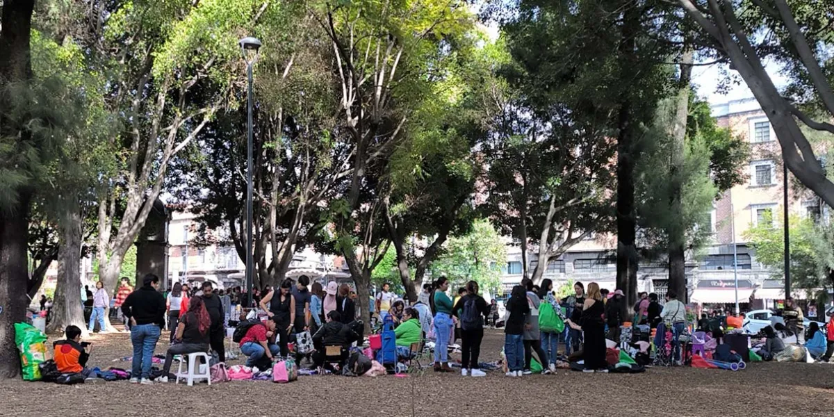 Las NENIS podrán instalarse los sábados en el Paseo Bravo
