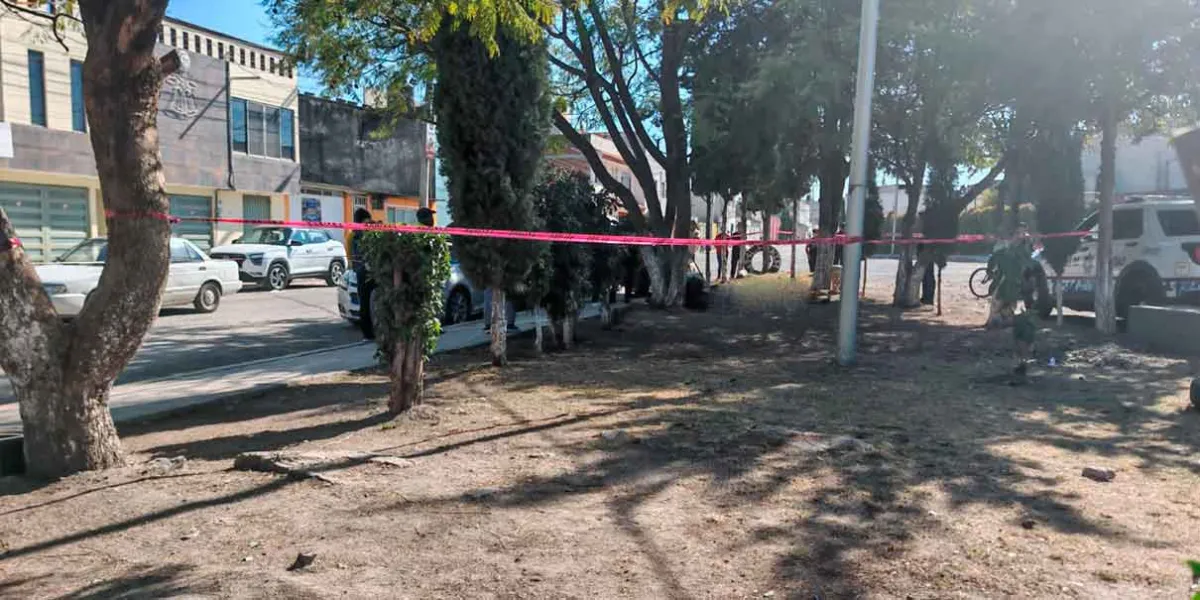Hallan a hombre sin vida en parque de la Constitución Mexicana en Puebla