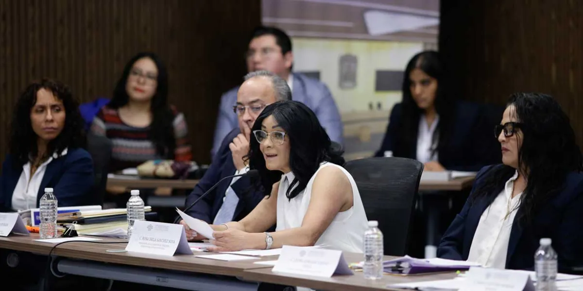 Innecesario para Derechos Humanos intervenir en la Ley de Ciberasedio: Sánchez Soya